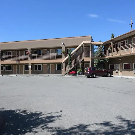 Puffin Inn-2